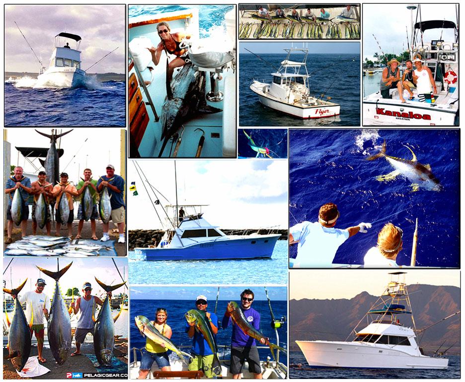OCEAN ADDICT photo 1