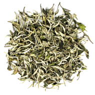 Yue Guang Bai 2010 Pre-Qing Ming from Tea Trekker
