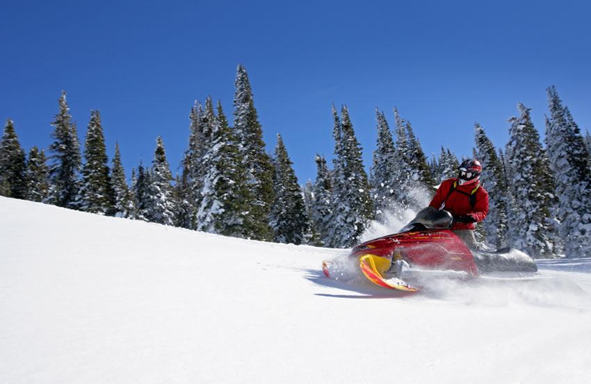 Two Hour Backcountry Tour photo 1
