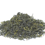 Kama-iri cha from Takachiho Yamanami cultivar from Thes du Japon