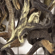 Kanyam Estate 2nd Flush Golden Nepal (TM71) from Upton Tea Imports