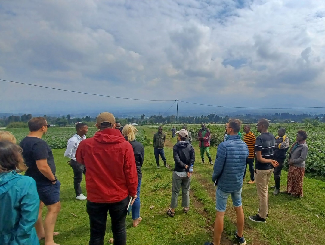 The 71point4 team conducing field research with farmers as part of the Rwanda Economy Digitalisation Programme, August 2022