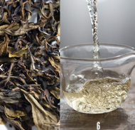 2020 Core Production Area Old Tree Yuanxiao Picking Liu Bao from Bitterleaf Teas