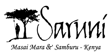 Saruni logo