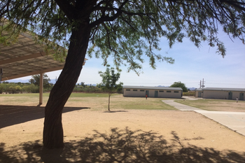 Field