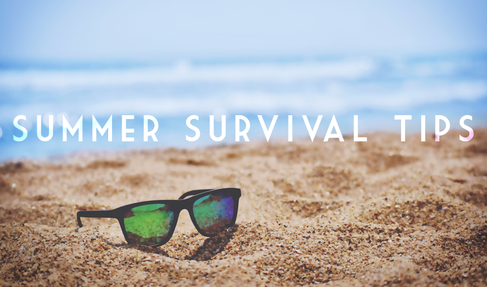 Product image for Summer Survival Guide