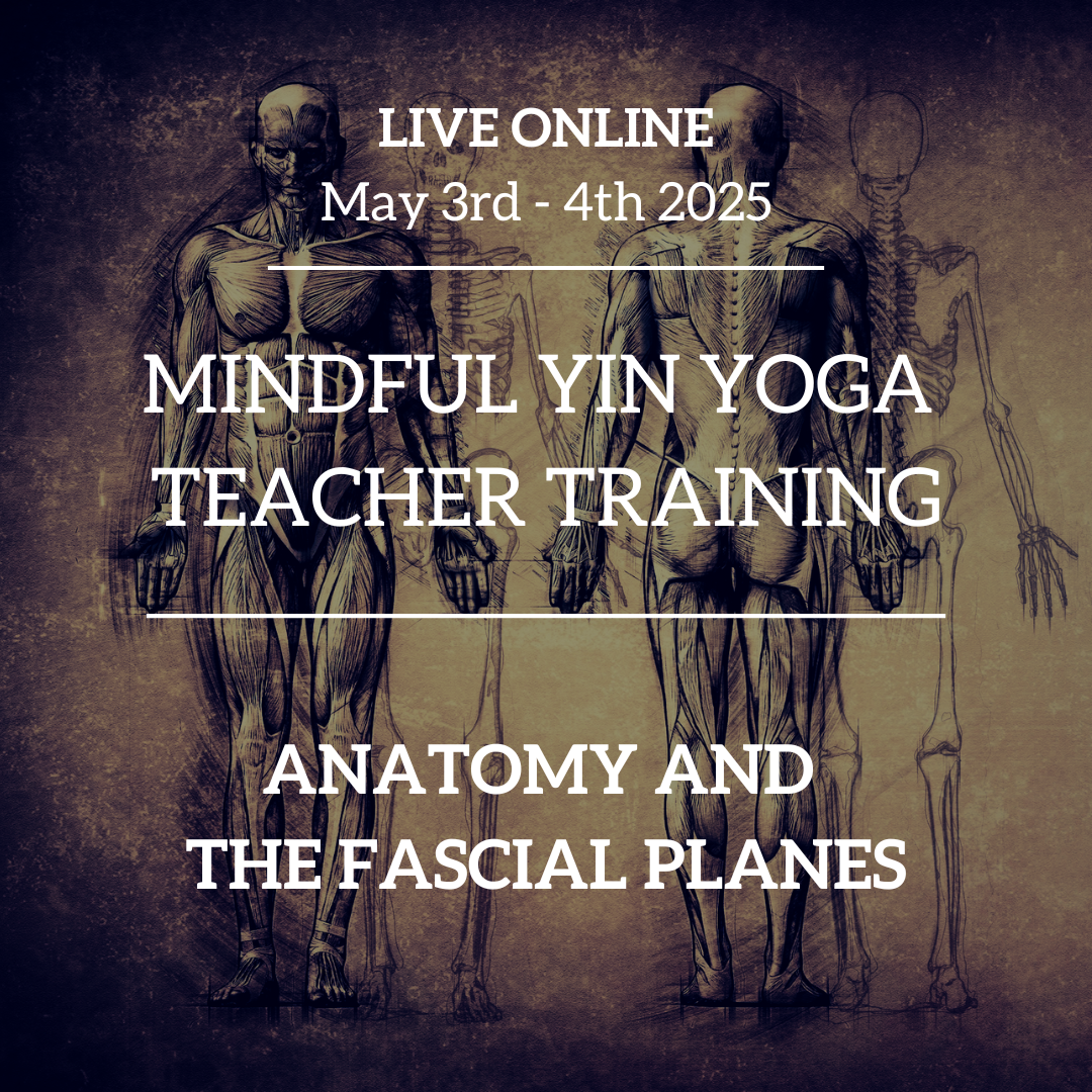 Mindful Yin Yoga Teacher Training