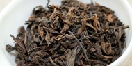 Nannuo Shan Shou Pu-erh, 2001 from Red Blossom Tea Company