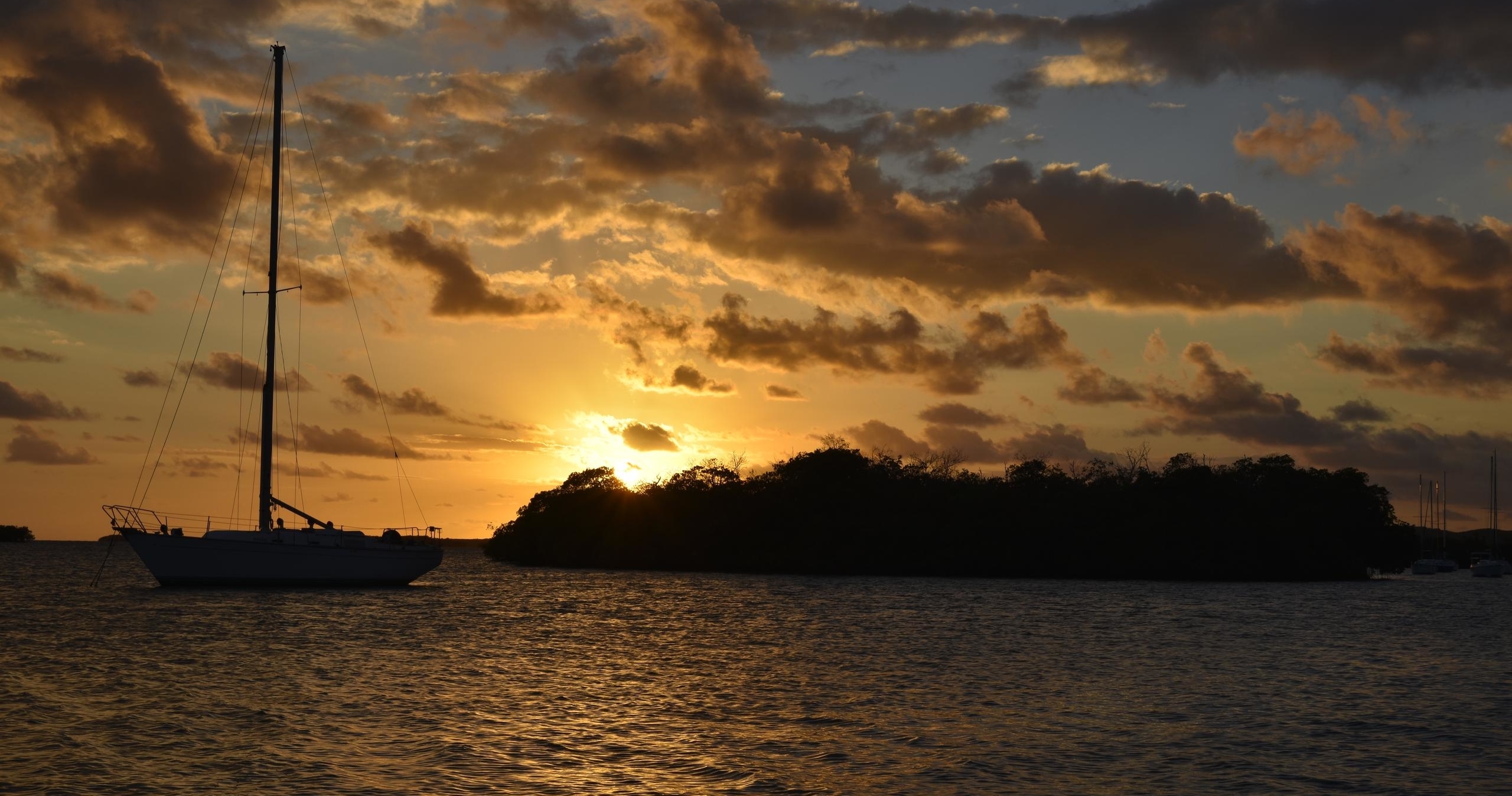 Bioluminescent Bay and Rum Tour at la Parguera from San Juan tour photo 4