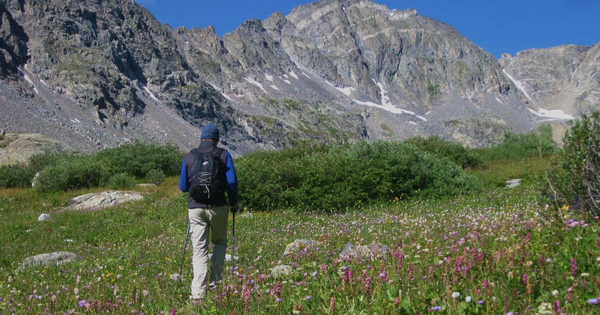 Guided Scenic Hike: Half Day