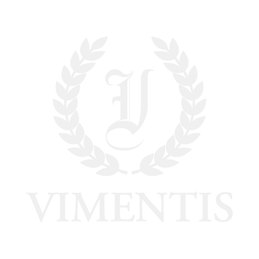 Vimentis Academy