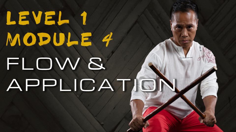 Product image for 2020 Virtual Level 1 Module 4: Flow & Application