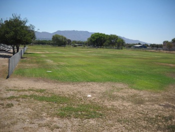 Playfield