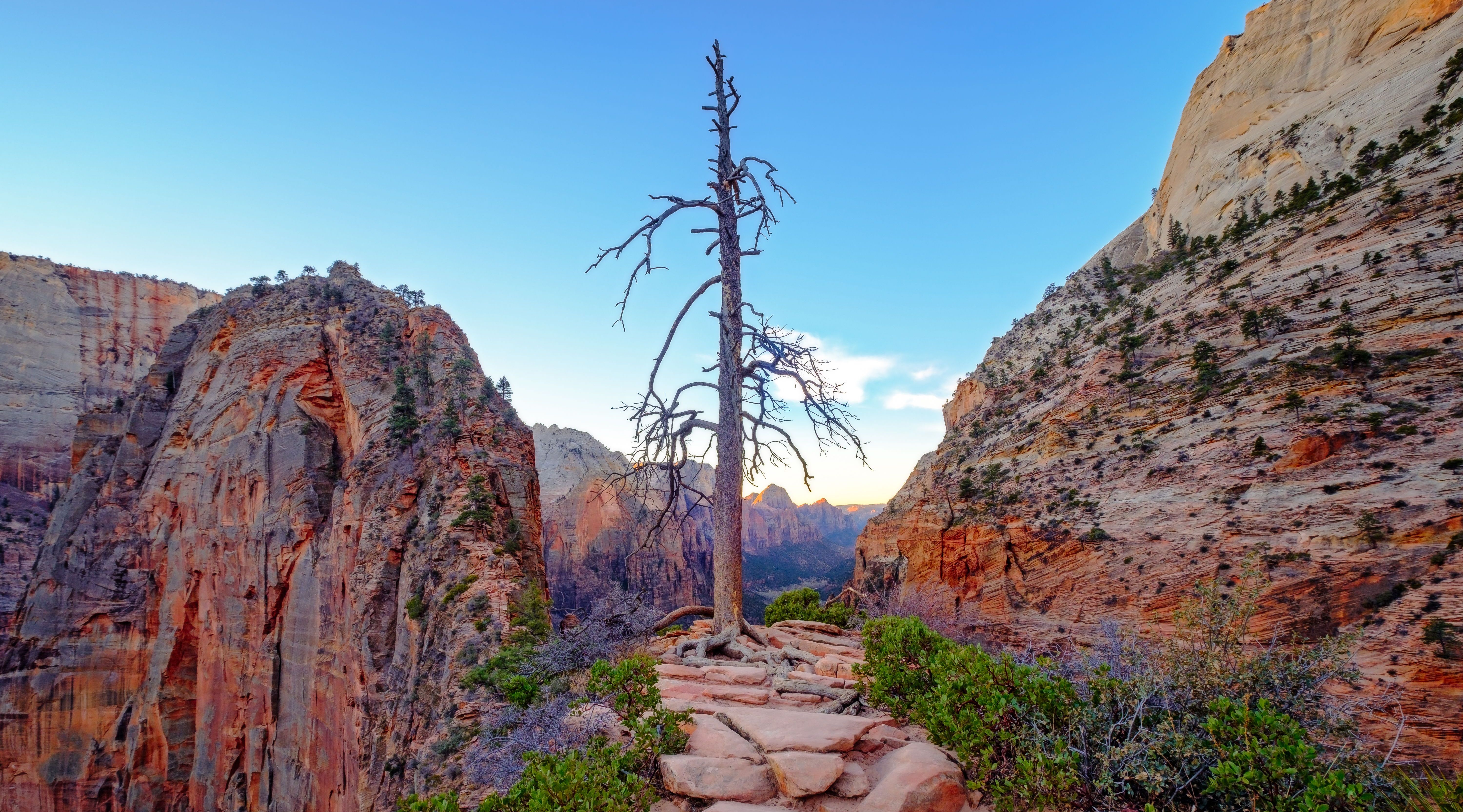 Full-Day Zion National Park Tour in Las Vegas: Book Tours & Activities