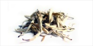 Virgin Silver Buds from Five Mountains