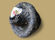 2010 Bao Yan Jin Cha (Sheng) 250g from Xiaguan Tea Factory