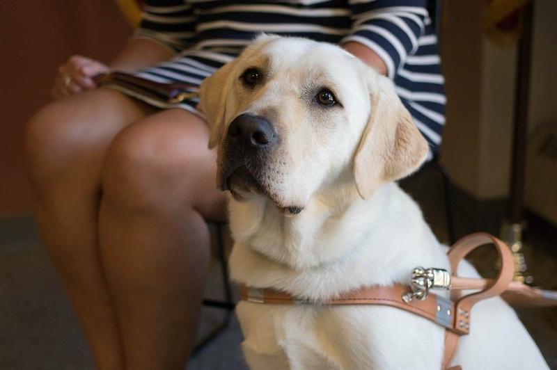 guide dog foundation uga