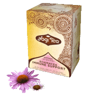 Echinacea Immune Support from Yogi Tea