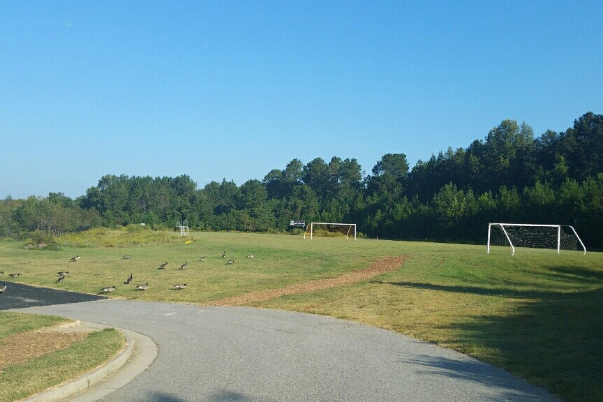 Soccer Field