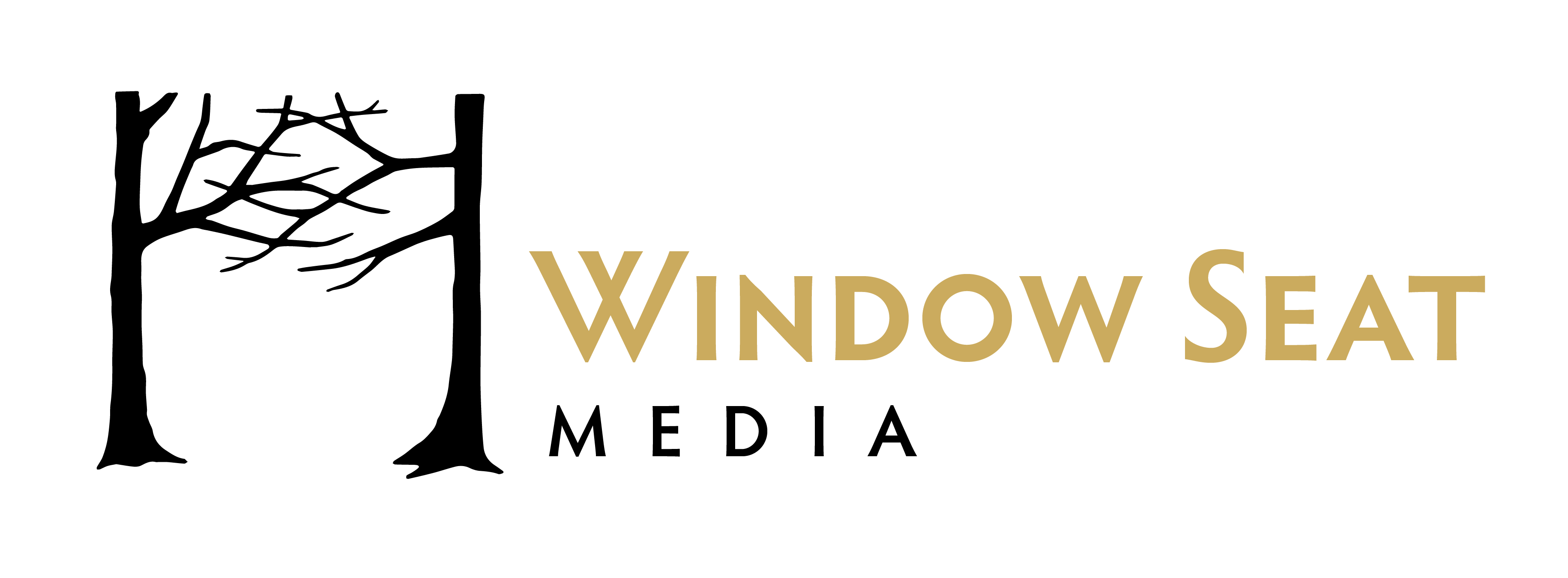 Window Seat Media logo