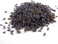 Lavender from Monstrositea