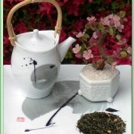 Pommes Hi Antiox Green Tea from Green Tea Lovers