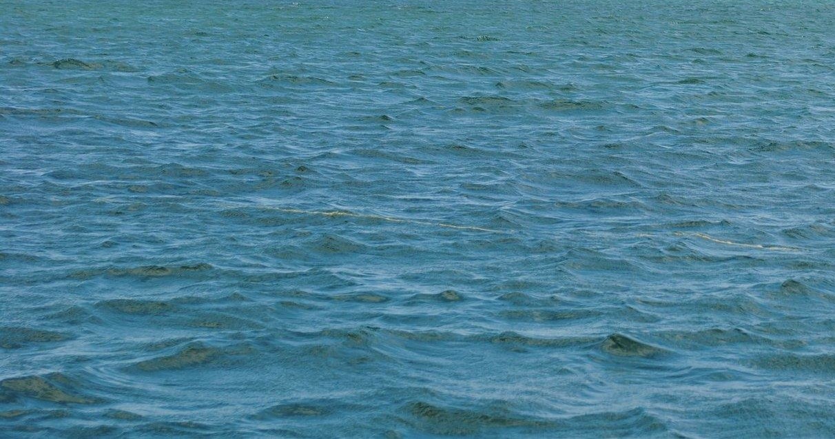 Water-Activities: Martha's Vineyard Oceansports Private Boat Tour - Edgartown