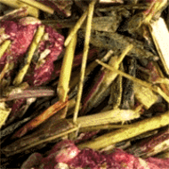 Rooibos Rote Grutze from Upton Tea Imports