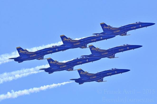 Water-activities: Fleet Week Blue Angels Air Show Cruise in San Francisco - San Francisco