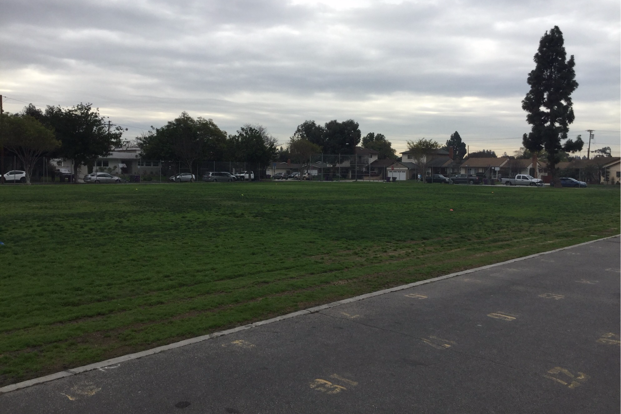 Field