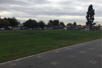 Field