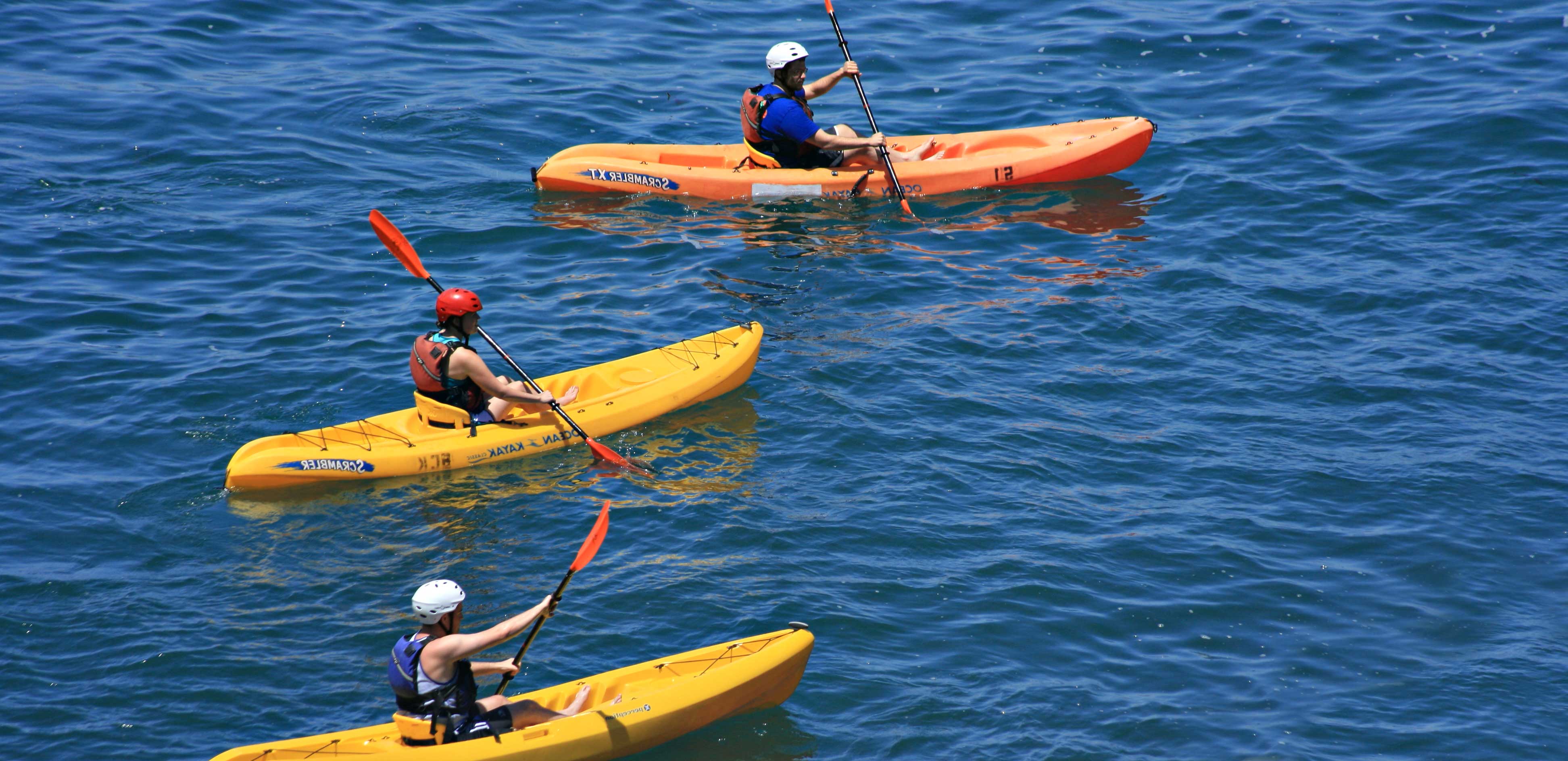 Dolphin Kayaking Tour in Hilton Head Book Tours & Activities at