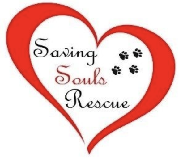 Saving Souls logo