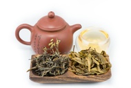 2013 Jingmai Mountain Ancient Tree Sheng - Puerh from Tribute Tea Company