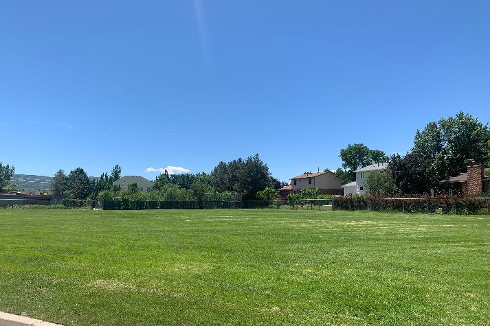 Fields