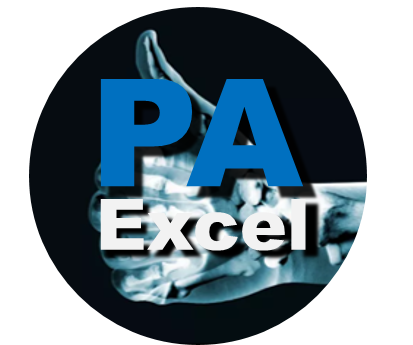 PA Excel