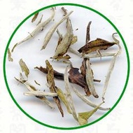 Bai Mu Dan from Dobra Tea