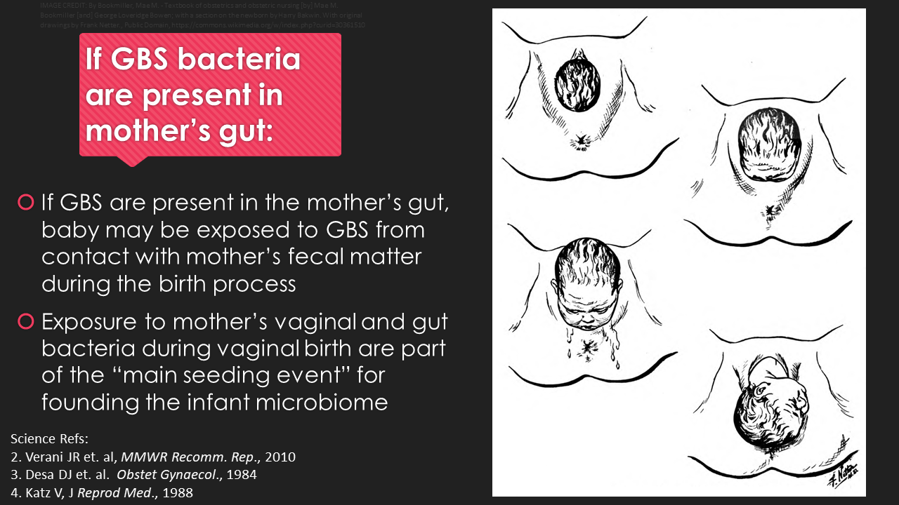 How Do They Test For Group B Strep During Pregnancy