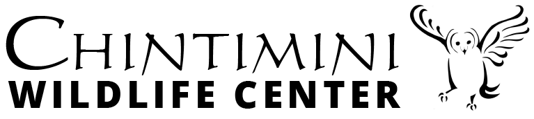 Chintimini Wildlife Center logo