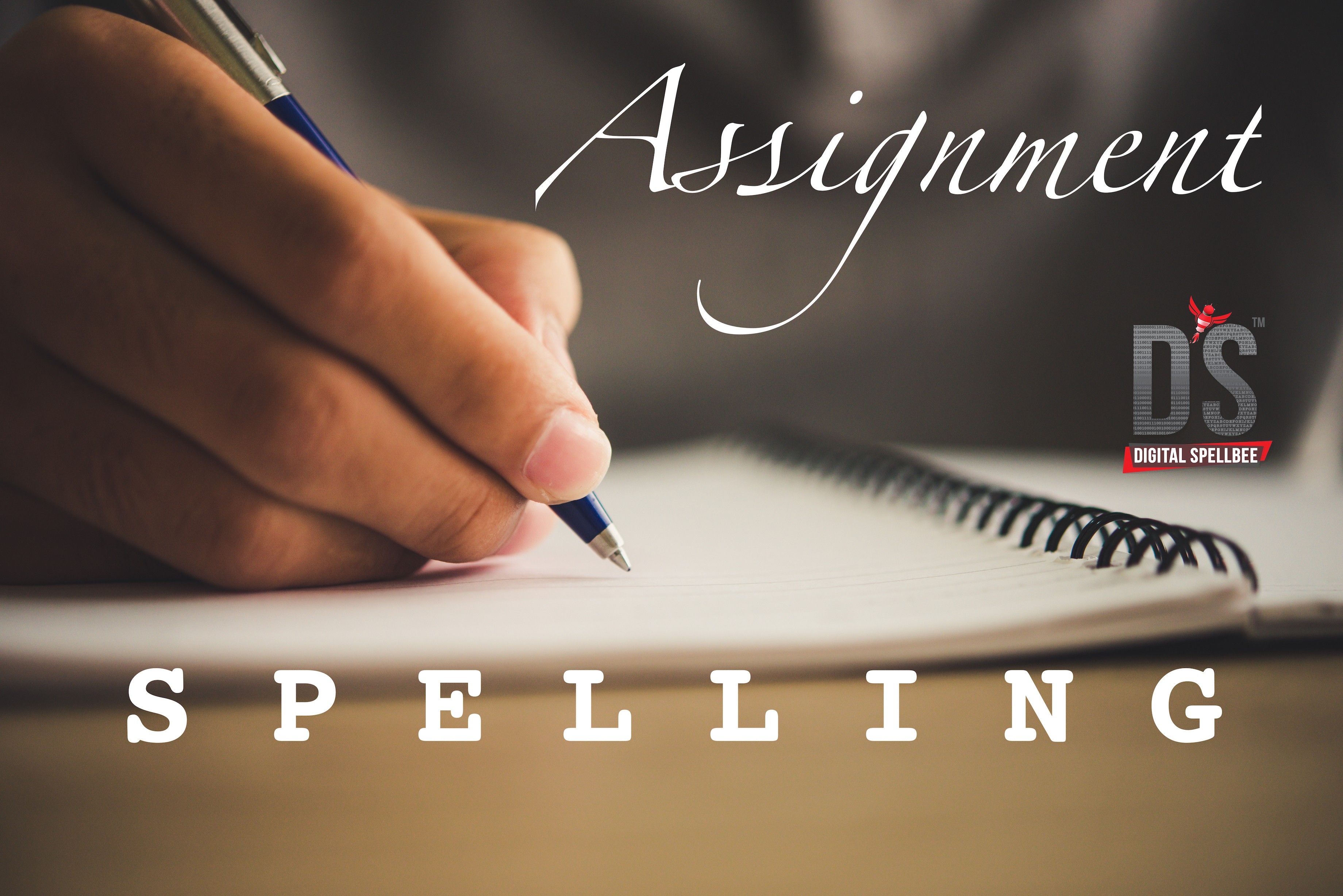 the real spelling of assignment