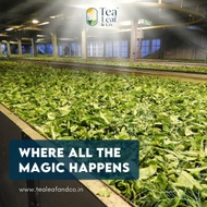 Tea Leaf & Co. from Tealeafandco
