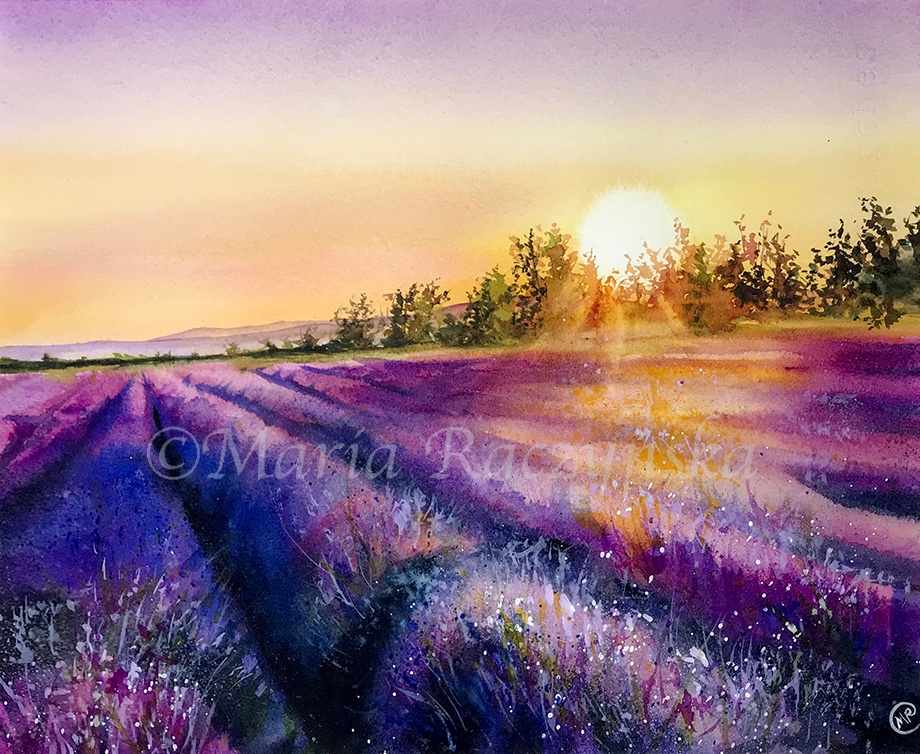 Lavender Fields by Maria Raczynska