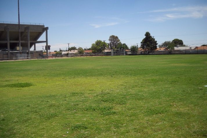 Playfield