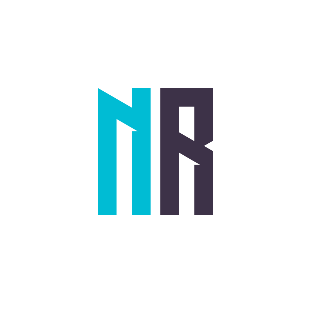 NR Organization logo