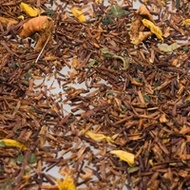 Pumpkin Cream Rooibos from Premium Steap