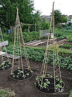 Global self reliance Eco systems logo