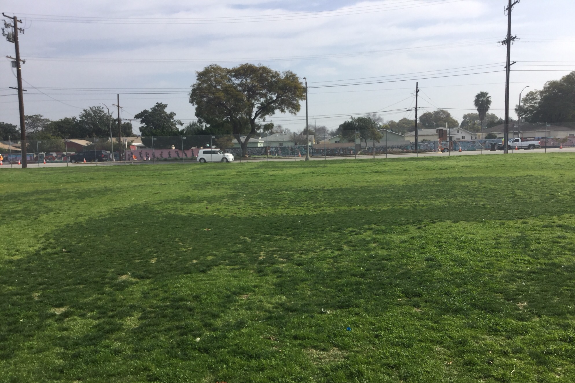 Field-East