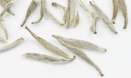 Silver Needle from Zhi Tea