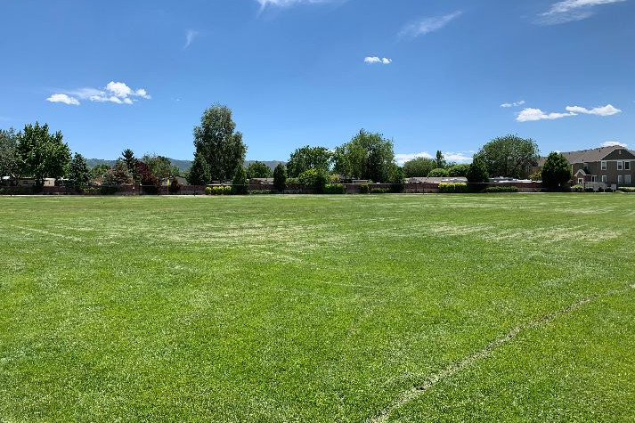 Fields