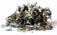 Mutan White from Harney & Sons
